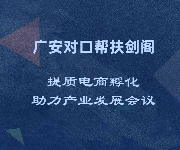 广安对口帮扶剑阁：提质电商孵化助力产业发展会议