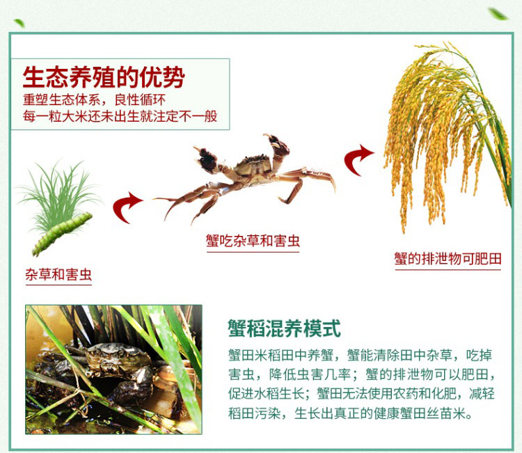 [燕乡肴] 有机大米2斤/10斤装 新米真空包装长粒香米 不抛光生态籼米